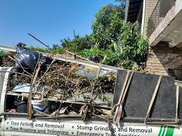 Best Mattress Disposal  in Pahokee, FL